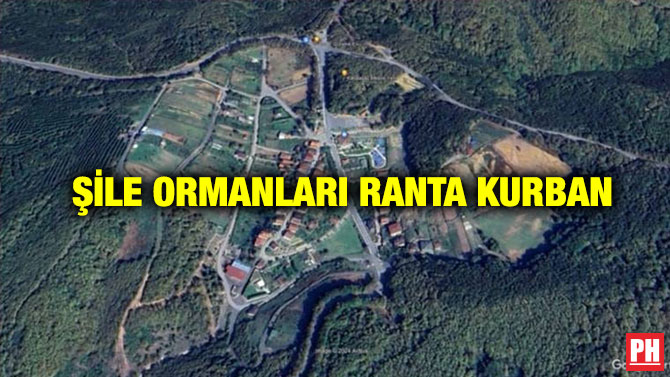 Şile Ormanları Ranta Kurban