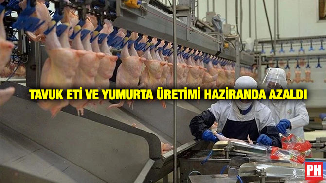 Tavuk Eti ve Yumurta Üretimi Haziranda Azaldı