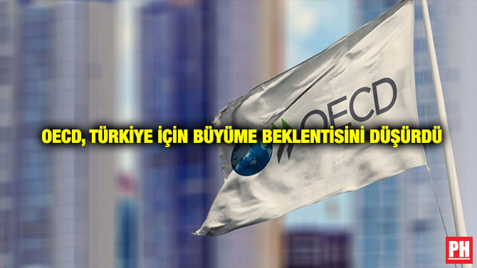  OECD, Türkiye İçin Büyüme Beklentisini Düşürdü