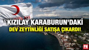 Kızılay Karaburun’daki Dev Zeytinliği Satışa Çıkardı!
