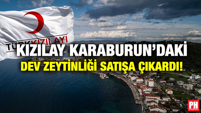 Kızılay Karaburun’daki Dev Zeytinliği Satışa Çıkardı!
