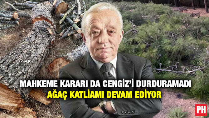 Mahkeme Kararı da Cengiz’i Durduramadı Ağaç Katliamı Devam Ediyor